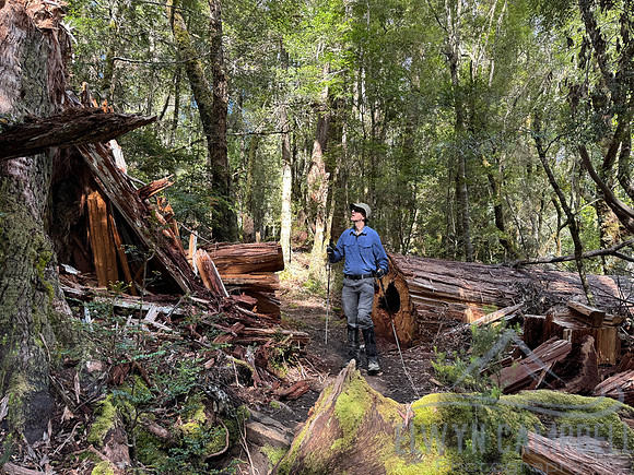 Overland Track