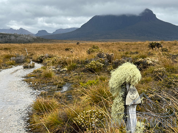 Overland Track