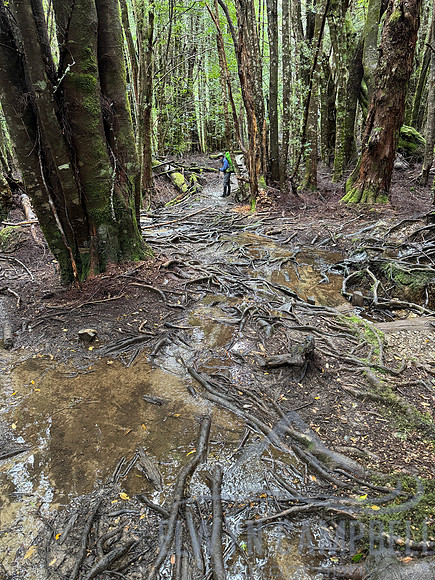 Overland Track
