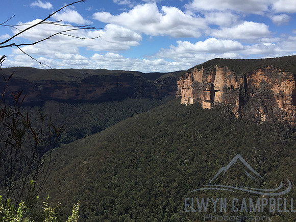 View from Evans Lookout