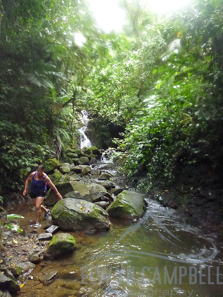 Waterfall