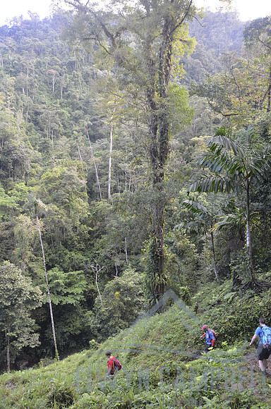 Hiking