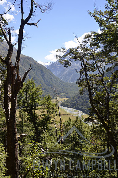 Routeburn Track