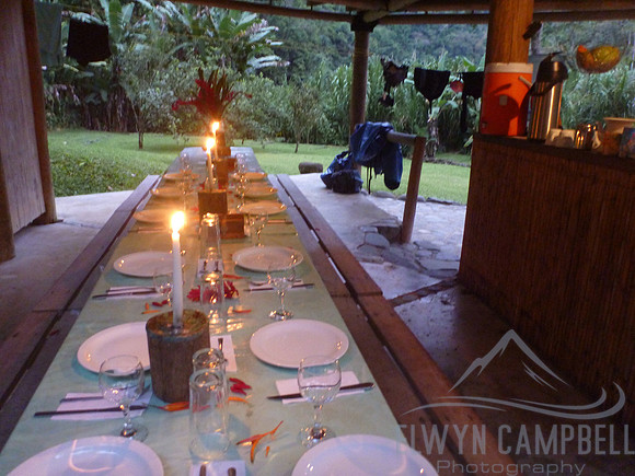 Jungle camp