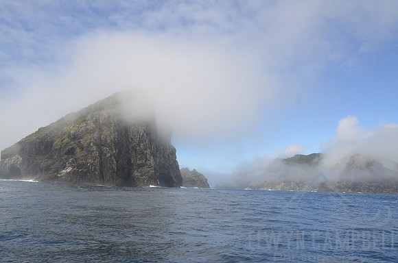 Piercy Island, Cape Brett