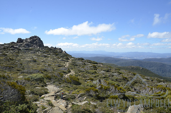 Hartz Mountains