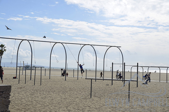 Muscle Beach
