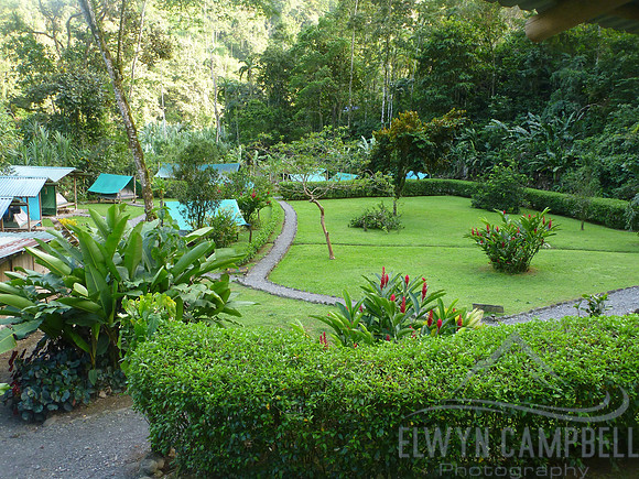 Jungle camp