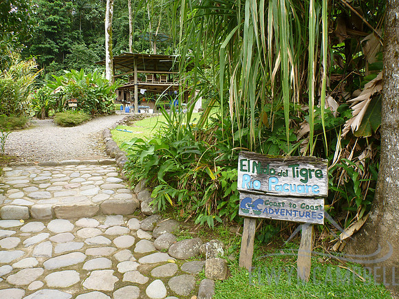 Jungle camp
