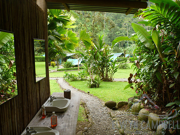 Jungle camp