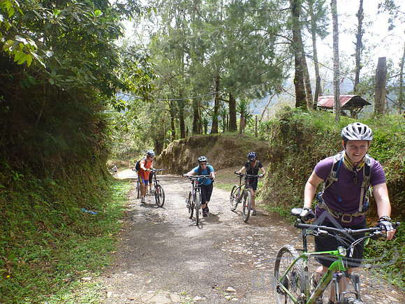 Cycling / walking