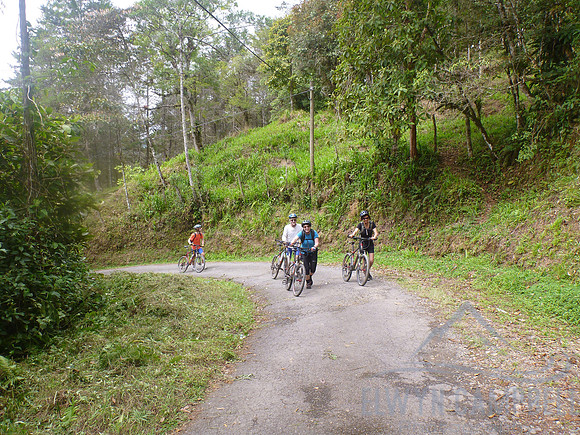 Cycling