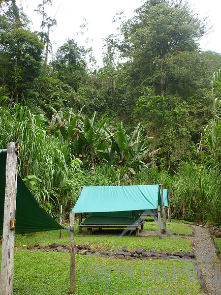 Jungle camp