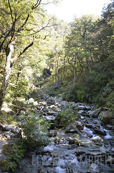 Routeburn Track