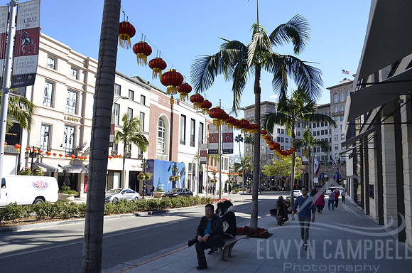 Rodeo Drive