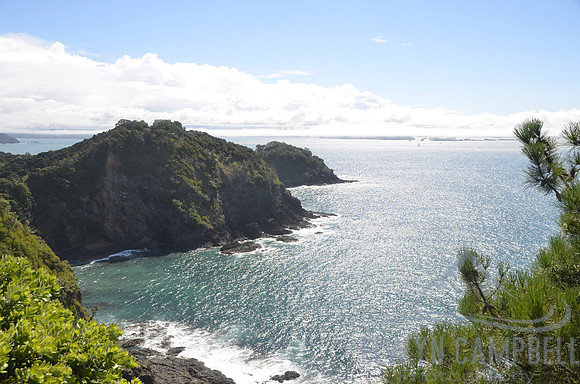 Roberton Island