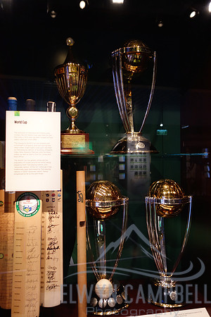 All the World Cups