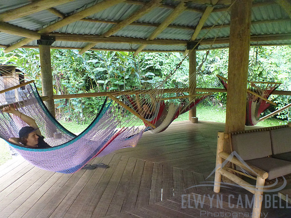 Jungle camp