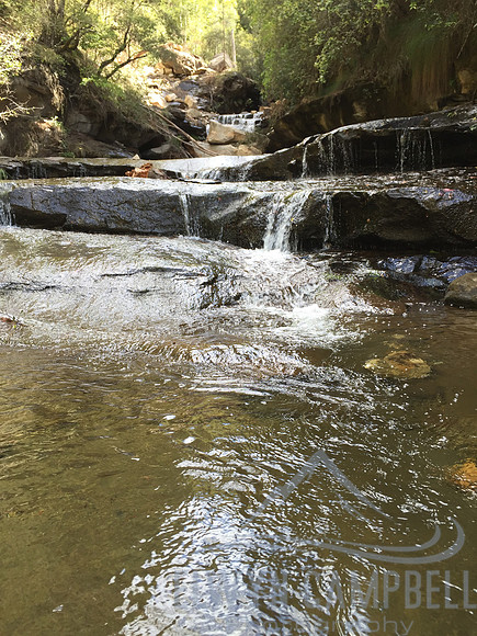 Greaves Creek