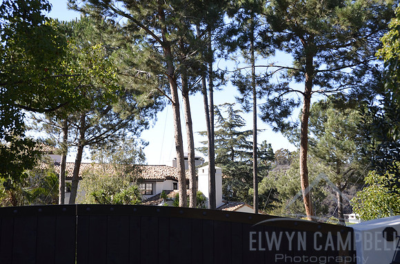 Steven Spielberg's house