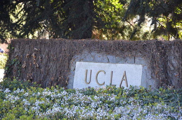 UCLA