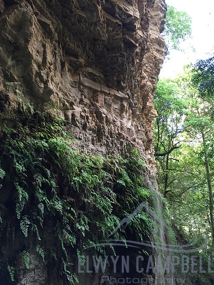 Greaves Creek
