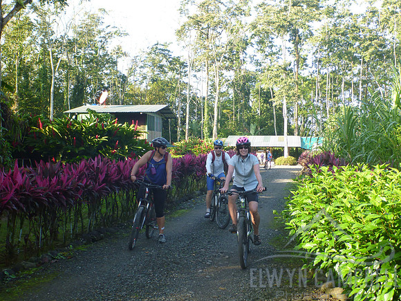 Cycling