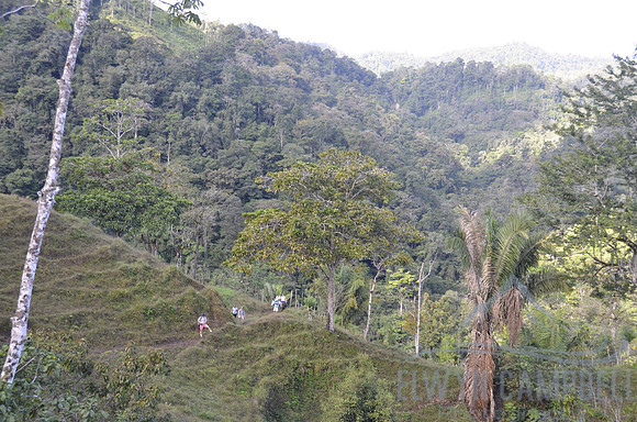 Hiking